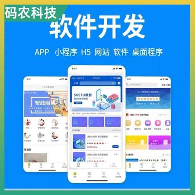 网站建设网络 小程序搭建电商 开发系统商城 软件开发工具